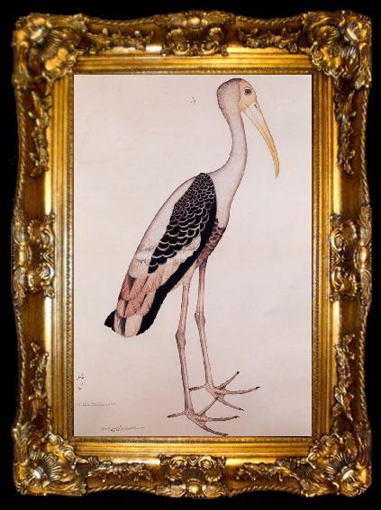 framed  Zayn AL Din A Painted Stork, ta009-2